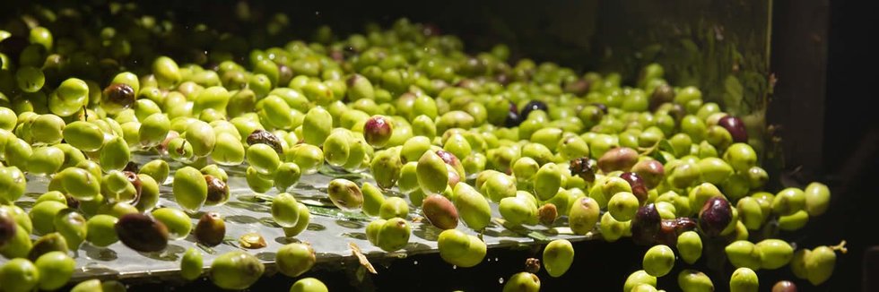 Olio ed aceto