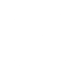 Icona faq